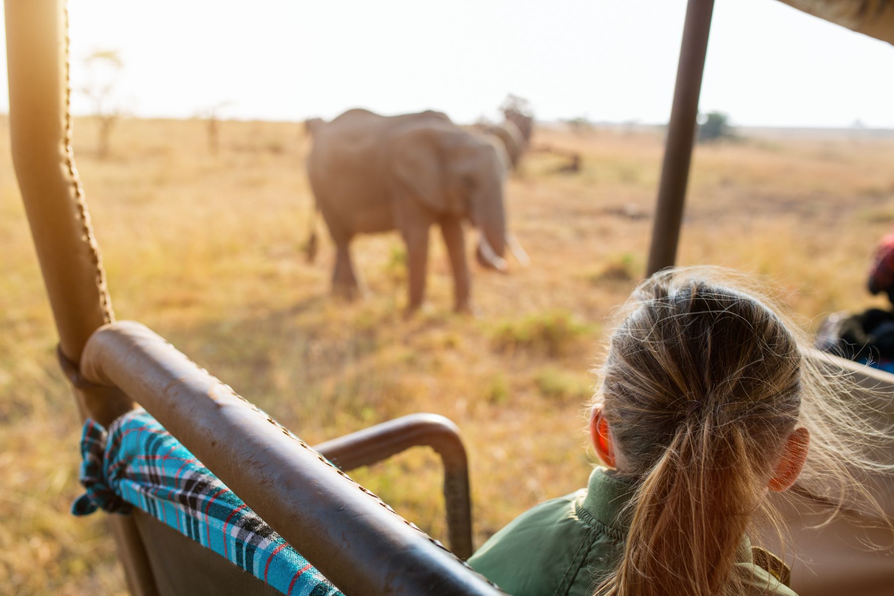Young girl in a safari vehicle looking at elephants, Kenya