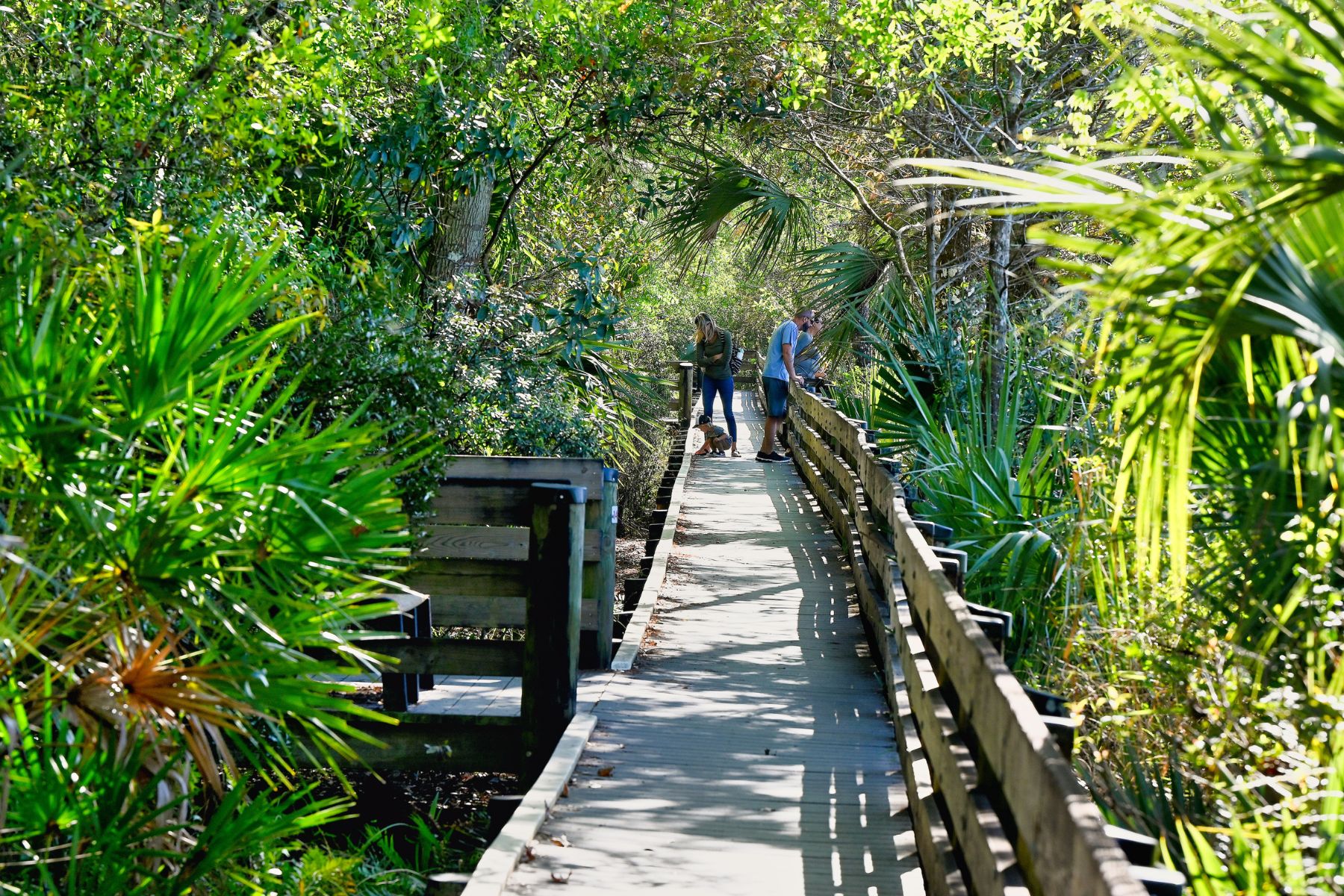 A boardwalk at the Six Mile Cypress Slough Preserve in Fort Myers, Florida
