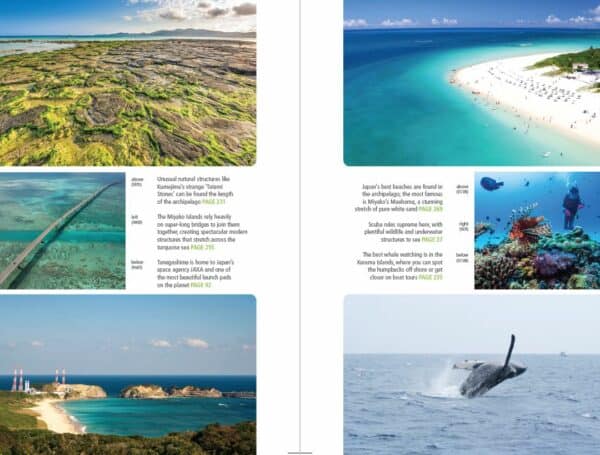 Bradt Japan: Okinawa & Japan's Southwest Islands Guidebook - Image 4