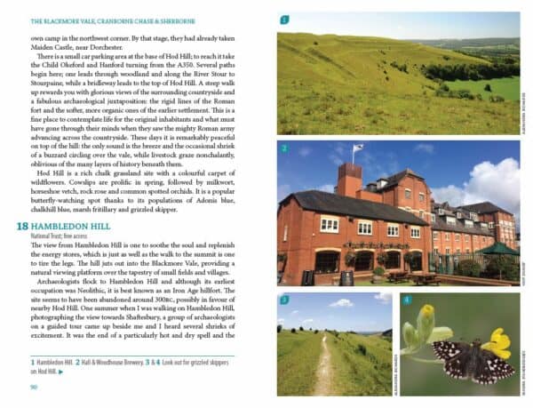 Bradt Dorset (Slow Travel) Guidebook - Image 3