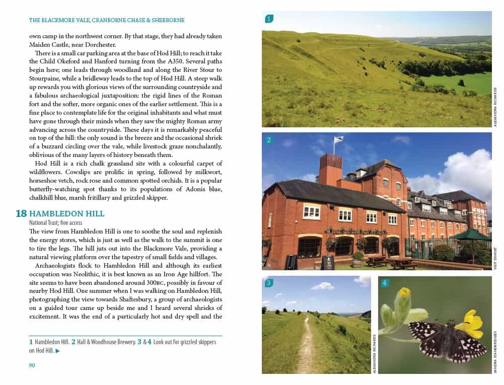 Bradt Dorset (Slow Travel) Guidebook - Image 3
