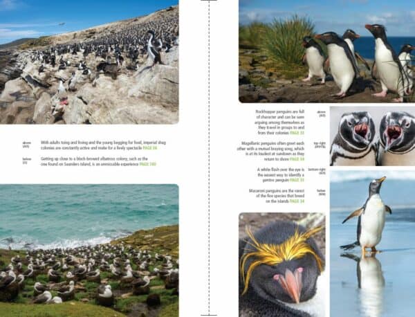 Bradt Falkland Islands Guidebook - Image 5