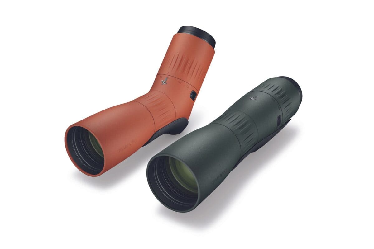View of The Best Birdwatching Equipment Kit List