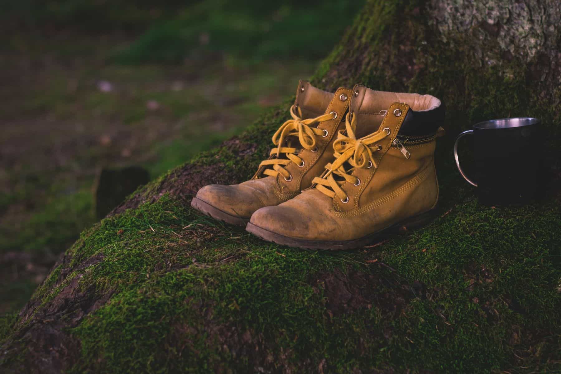 Boots on a mossy nature background