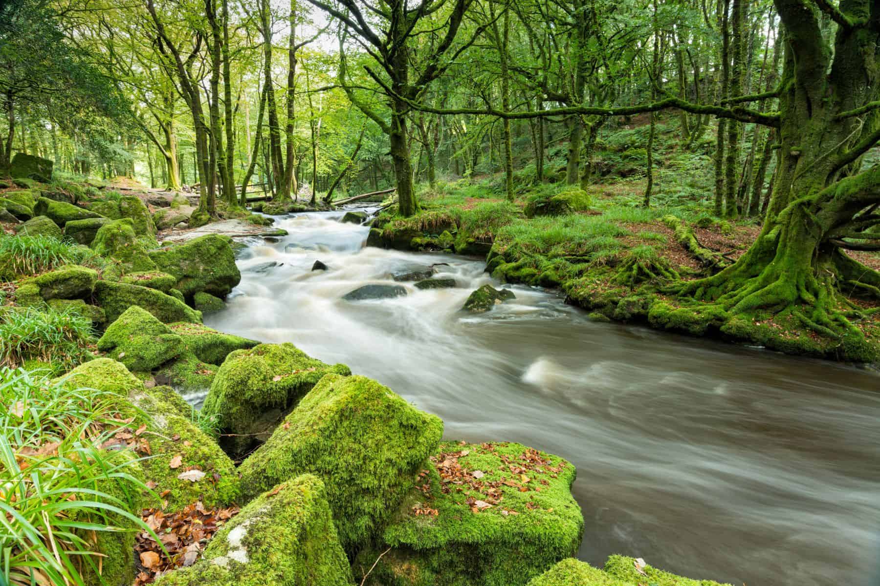 Golitha Falls, Cornwall