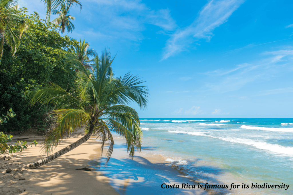 Sandy beach in Puerto Viejo Costa Rica