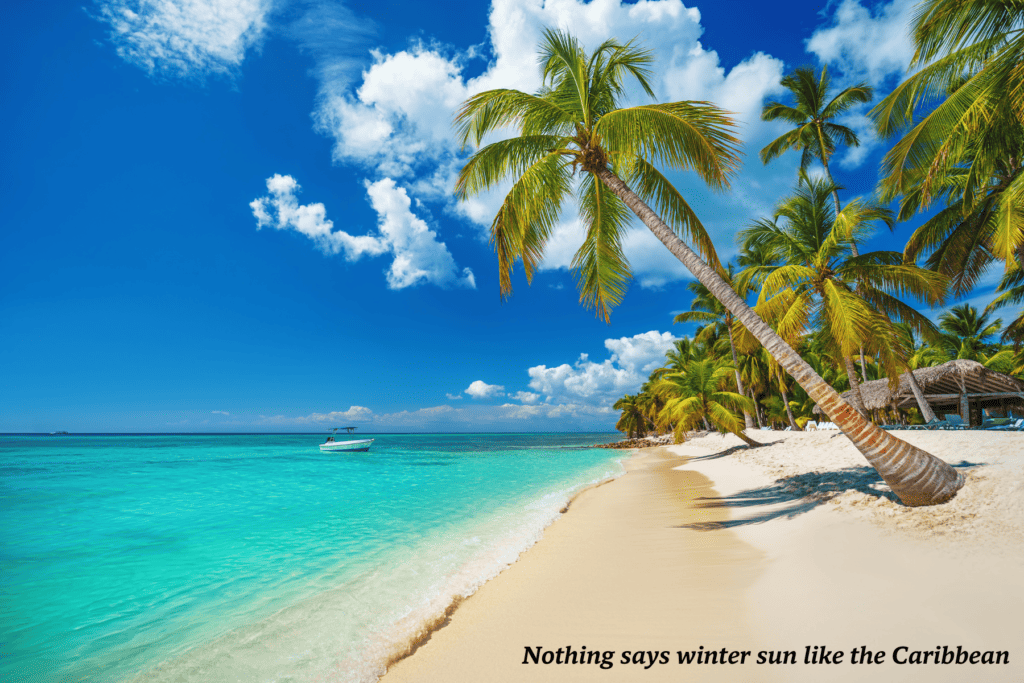 Palm trees on the beach in Dominican Republic 