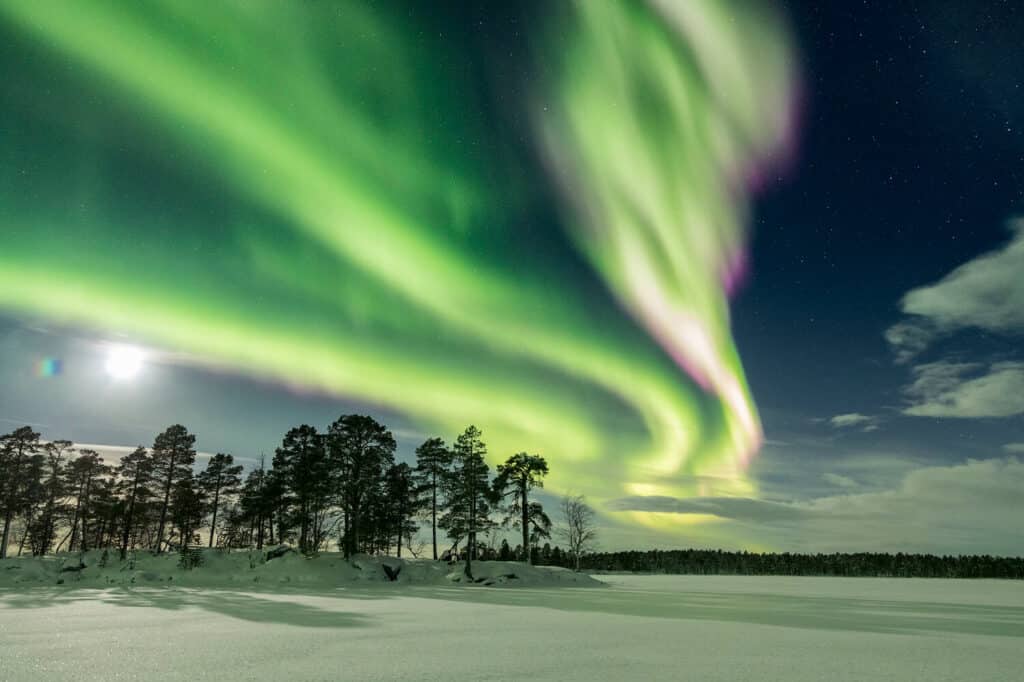 Northern lights over the forest in Finnish Lapland 