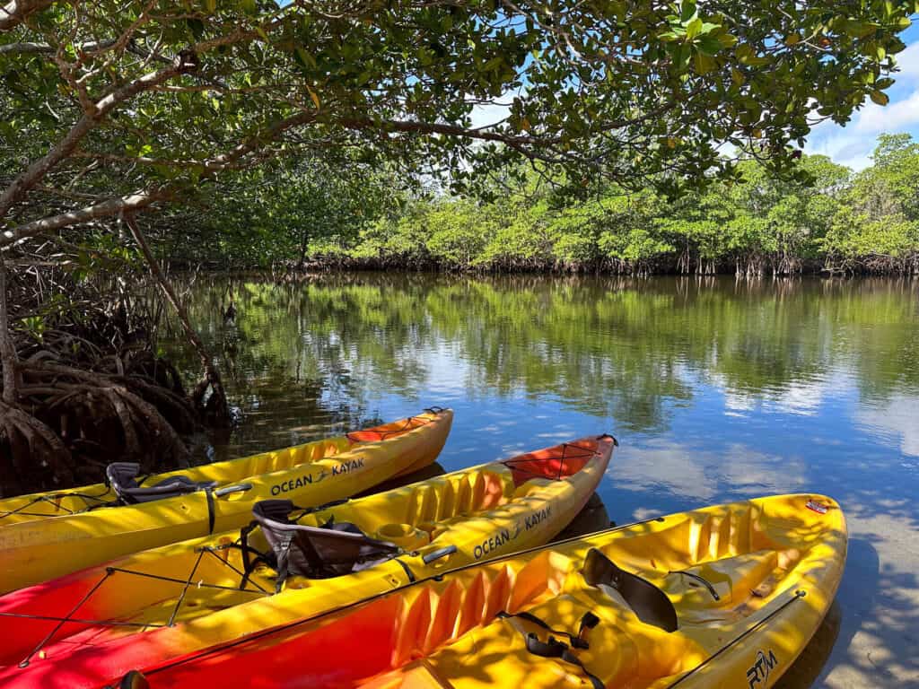 Canoes in Oleta River State Park