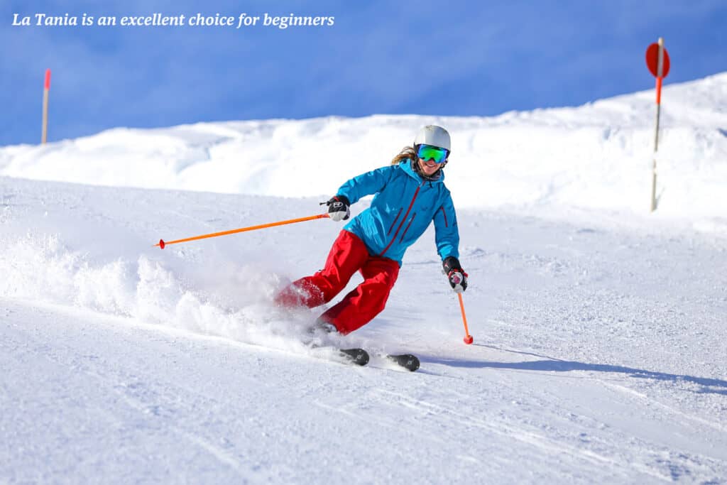 Skier at La Tania, France