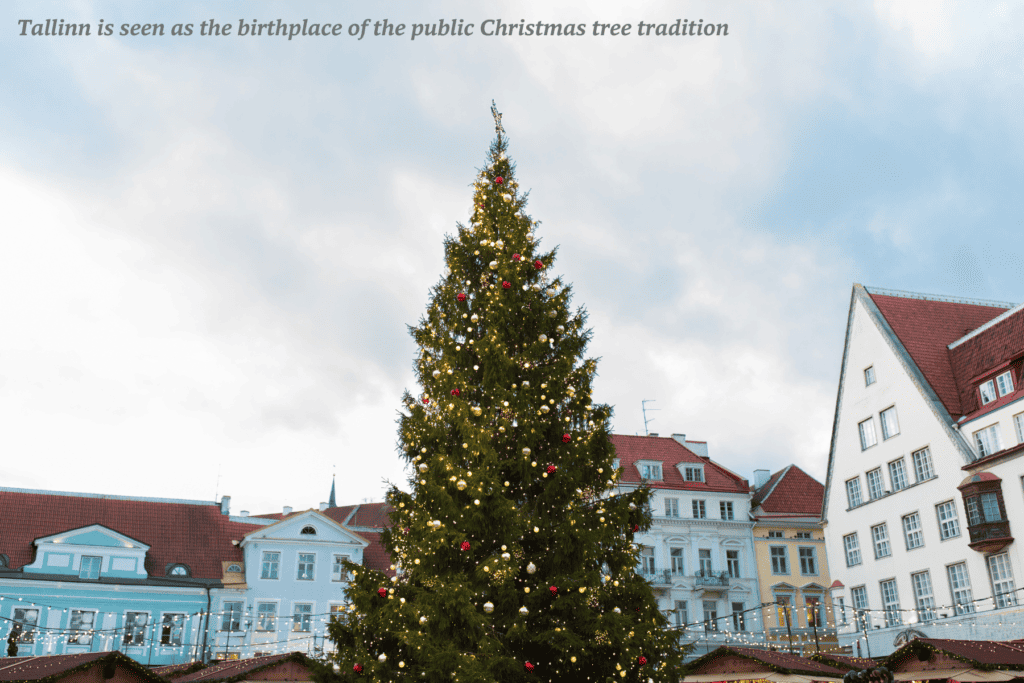 Christmas Tree in Tallinn, Estonia 