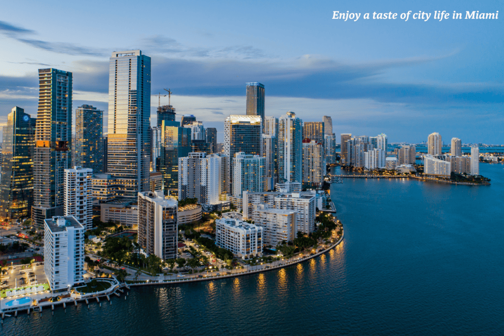 Skyscrapers lit up at night in Miami, USA 