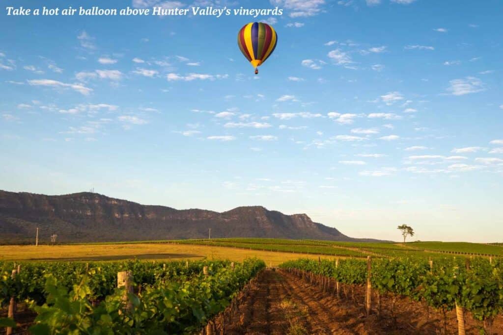 Hot air balloon above a vineyard in Hunter Valley, Australia 