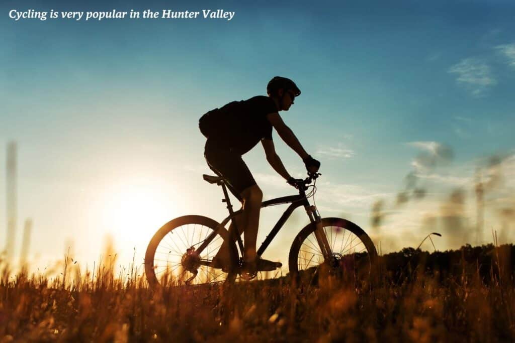 Silhouette of a man cycling at sunset