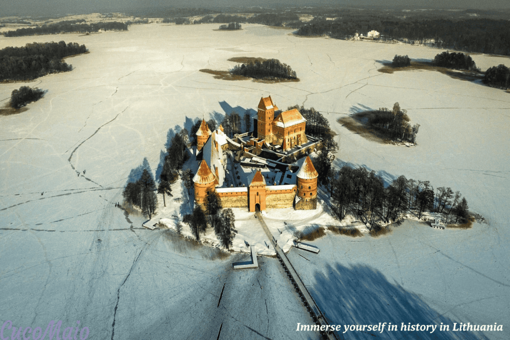 Trakai Castle in the snow in Lithuania 