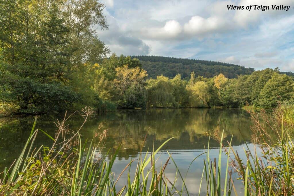 A lake in the Teign Valley, Devon