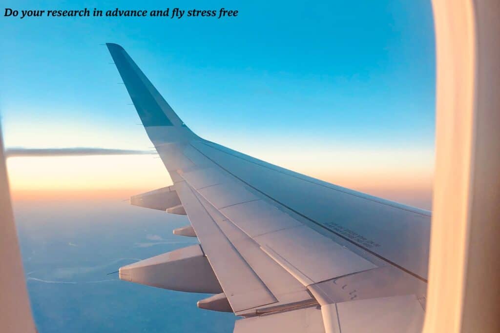 View of a plane wing from a window seat 