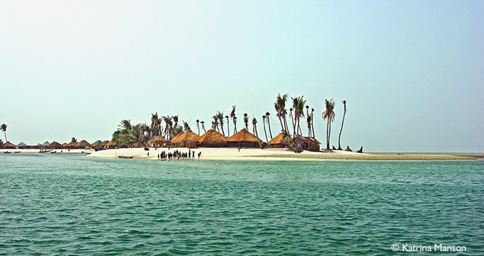 Palm Trees on one of the Turtle Islands in Sierra Leone 