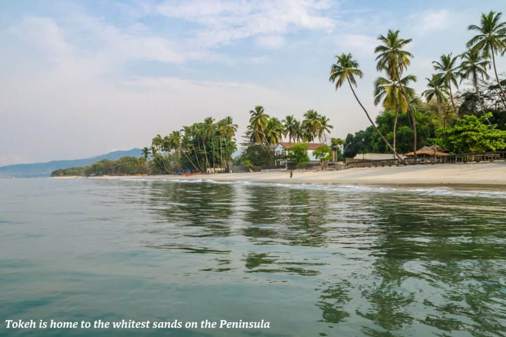 Palm trees line the coast along Tokeh, best beaches in Sierra Leone 