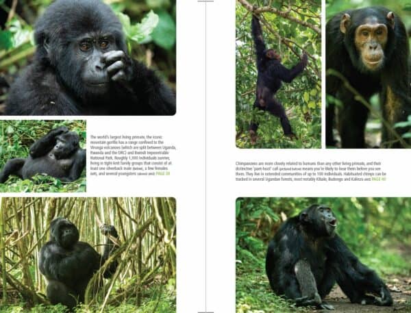 Bradt Uganda Guidebook - Image 5
