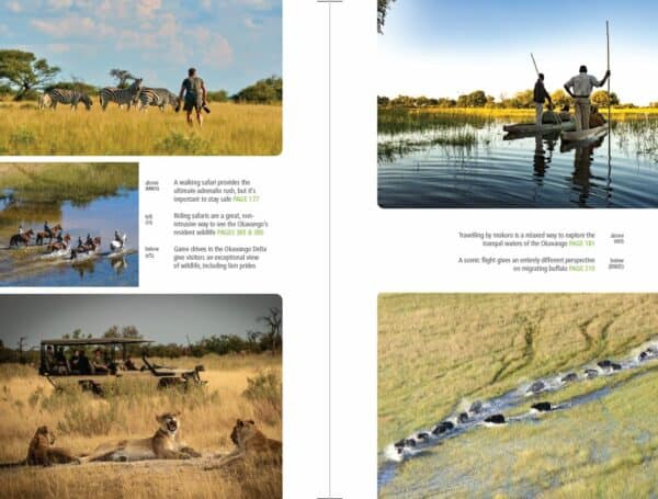 Bradt Botswana Safari Guidebook - Image 3