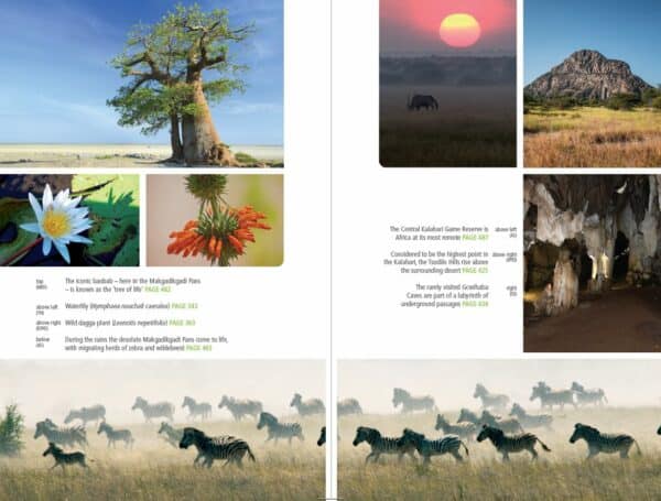 Bradt Botswana Safari Guidebook - Image 4