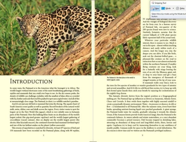 Bradt Pantanal Wildlife Guidebook - Image 2
