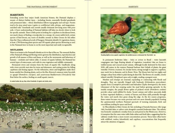 Bradt Pantanal Wildlife Guidebook - Image 3