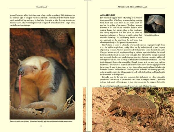 Bradt Pantanal Wildlife Guidebook - Image 4