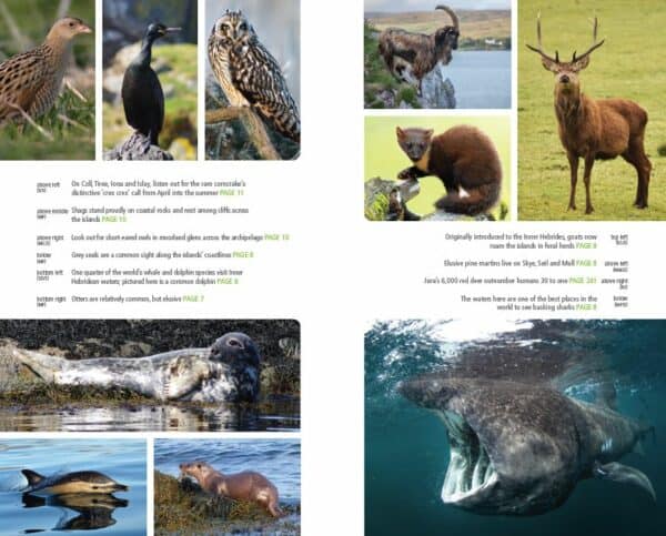 Bradt Scotland: Skye & the Inner Hebrides Guidebook - Image 5