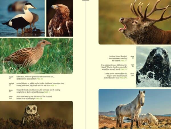Bradt Scotland: Outer Hebrides Guidebook - Image 3