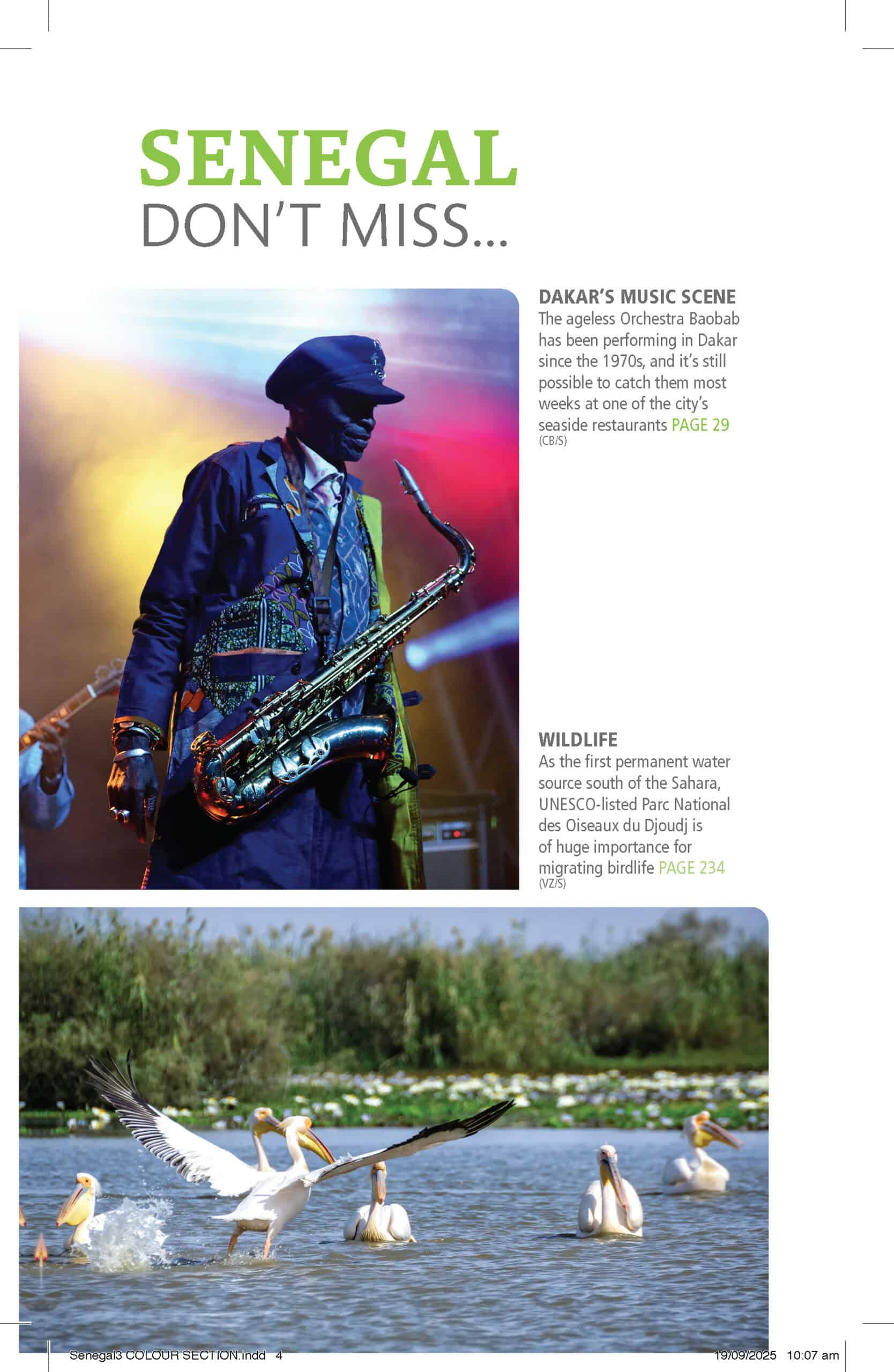 Bradt Senegal Guidebook - Image 2