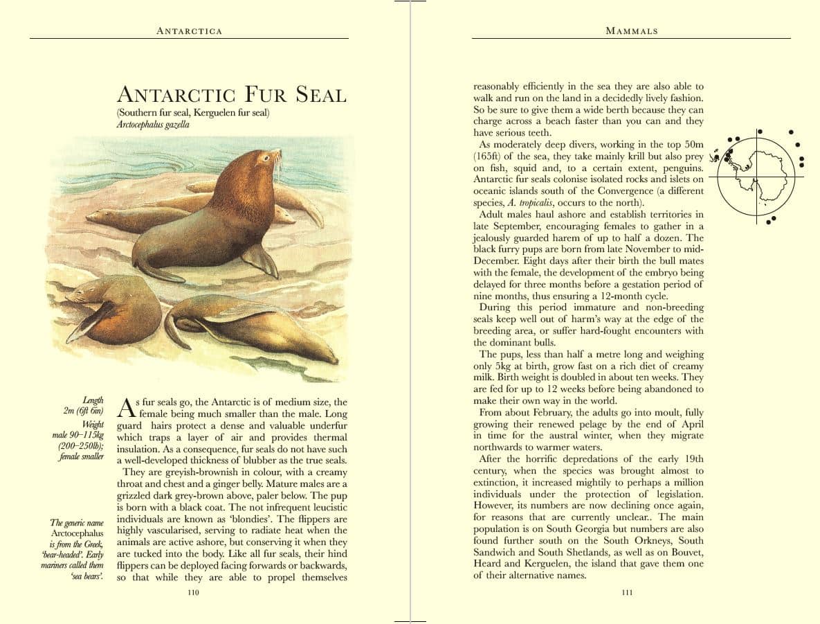 Bradt Antarctica Wildlife Guidebook - Image 4