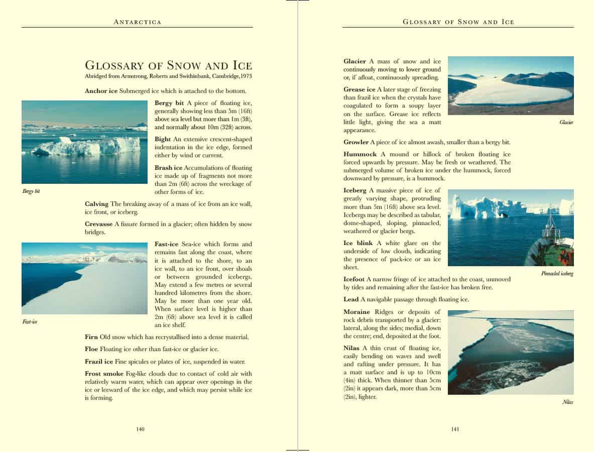 Bradt Antarctica Wildlife Guidebook - Image 5