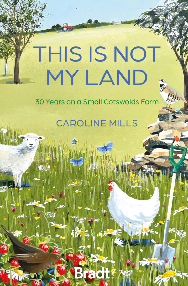 Bradt This is not my land travel literature
