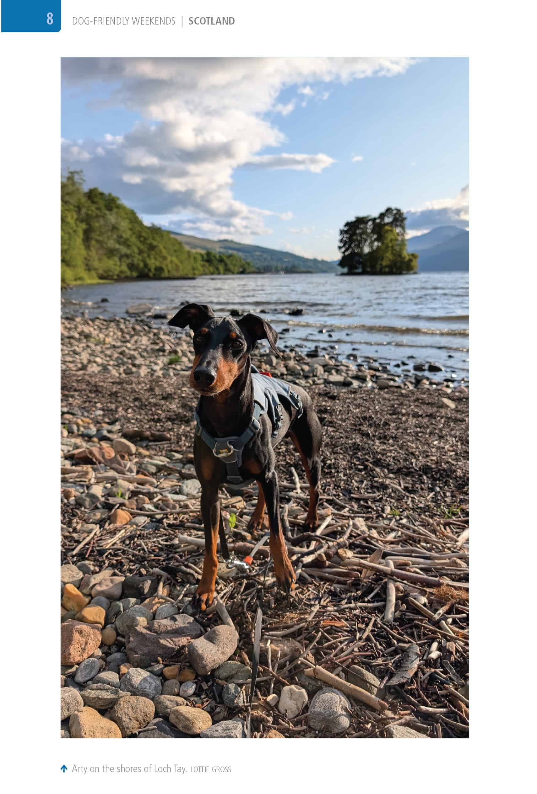 Bradt Dog-Friendly Weekends: Scotland Guidebook - Image 3