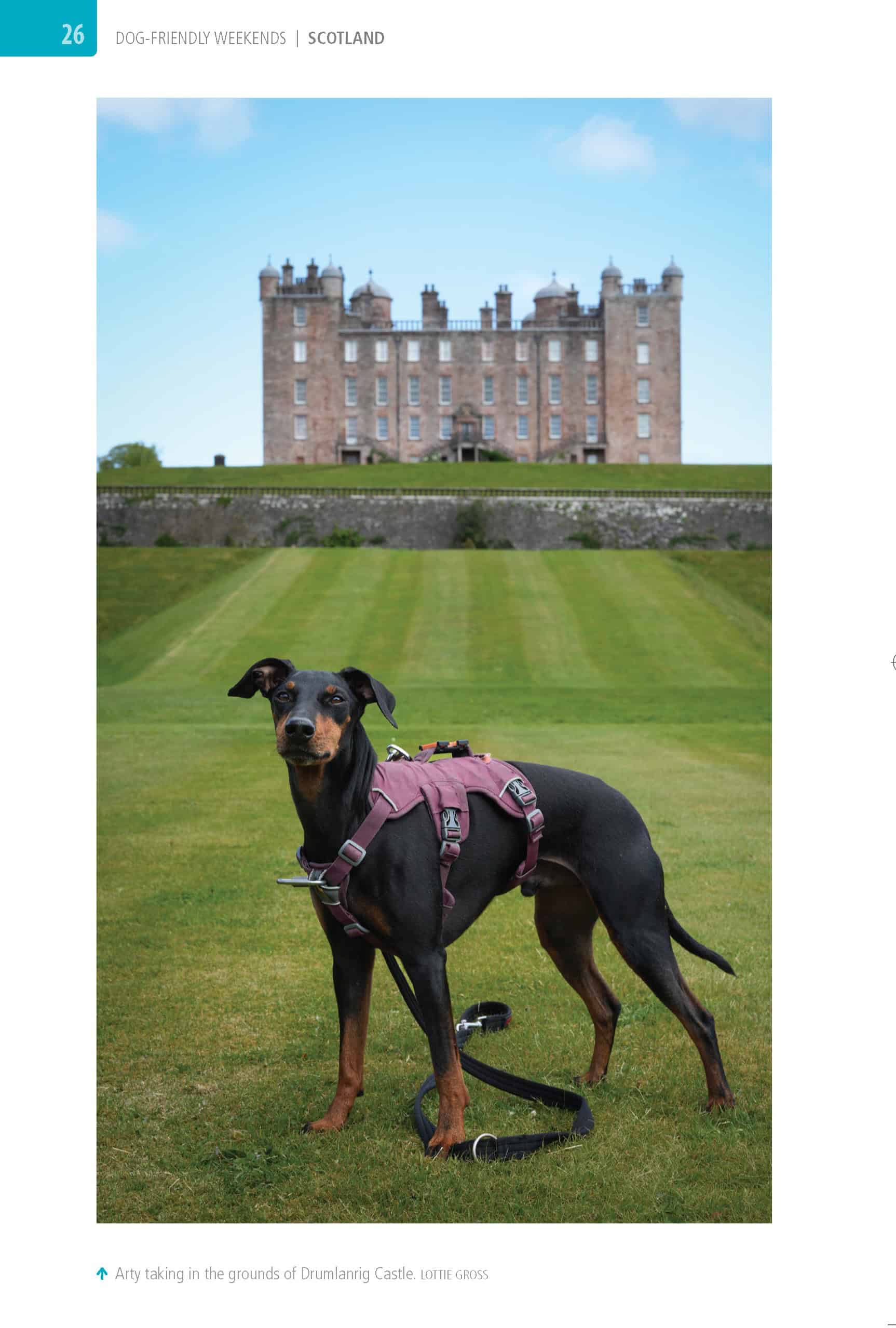Bradt Dog-Friendly Weekends: Scotland Guidebook - Image 4