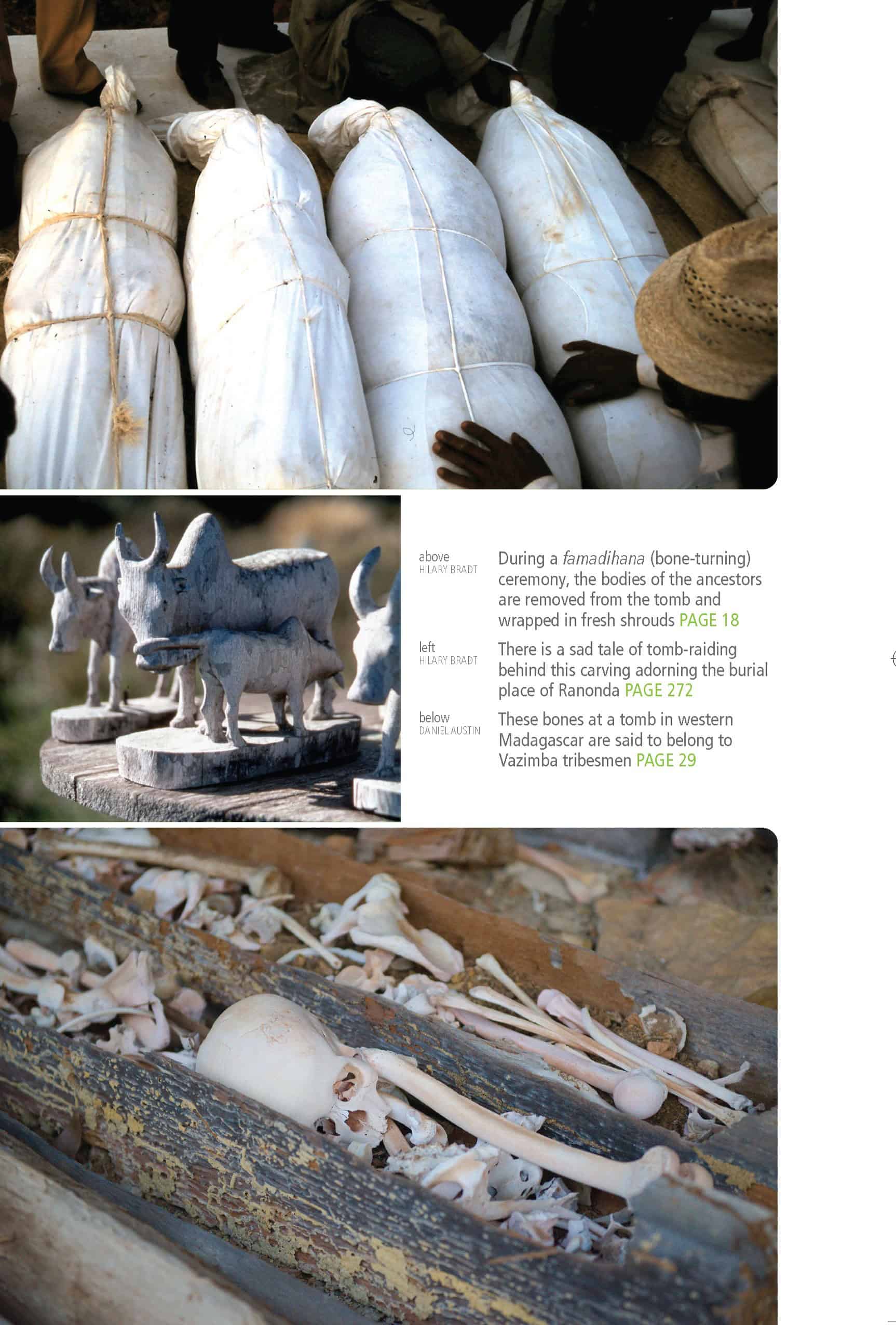 Bradt Madagascar Guidebook - Image 4