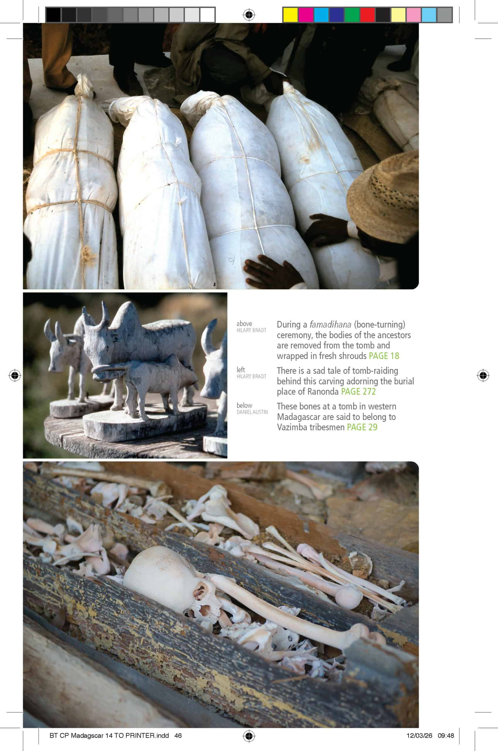Bradt Madagascar Guidebook - Image 3