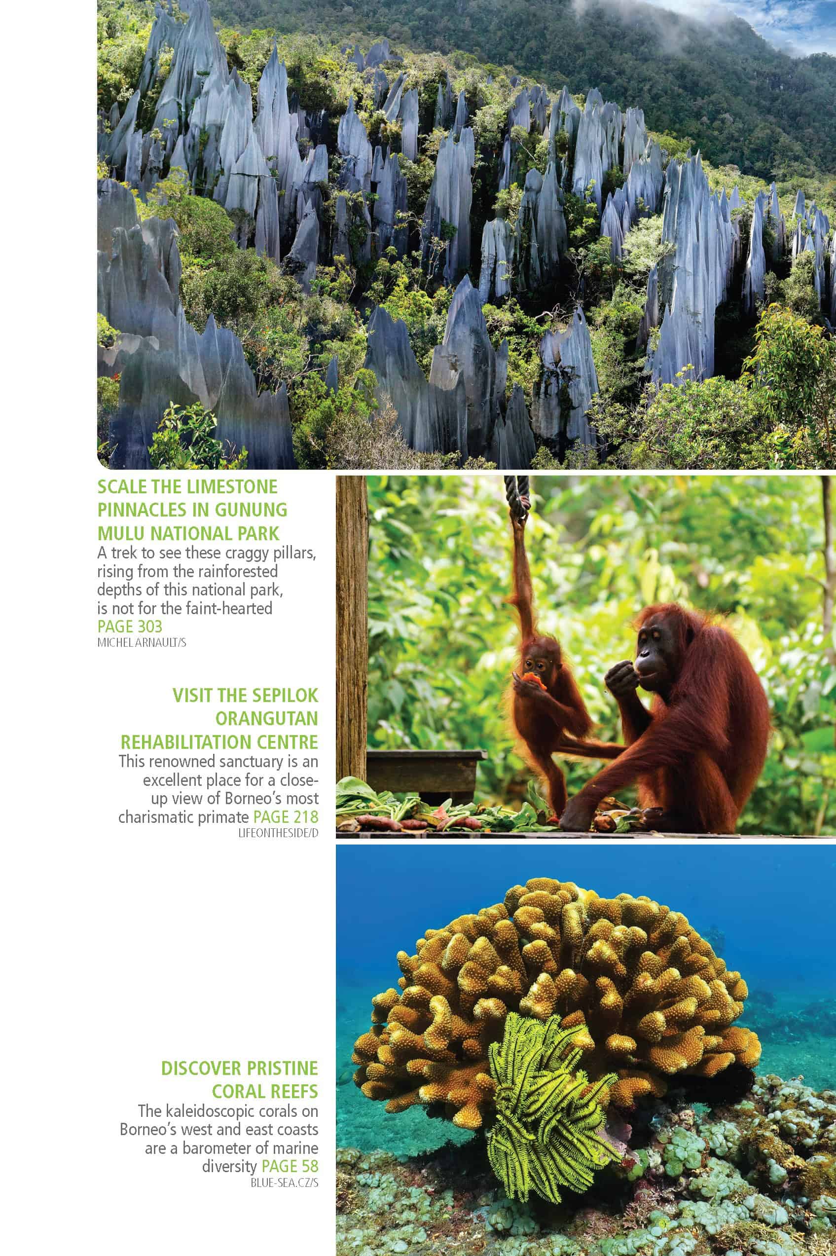 Bradt Borneo Guidebook - Image 4