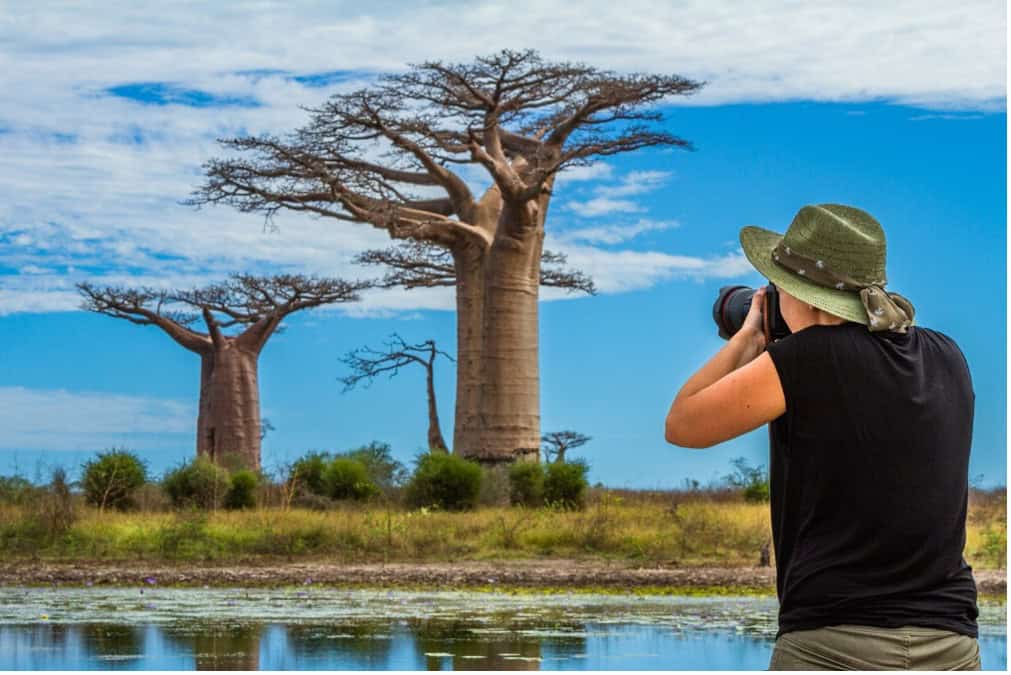 woman taking pictures of baobab trees in Madagascar - interesting facts about Madagascar