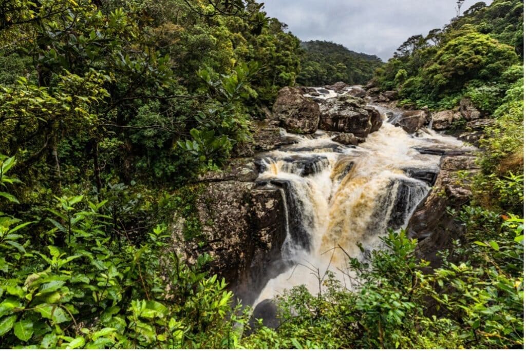 waterfall in Ranomafana National Park , Madagascar -interesting facts about Madagascar
