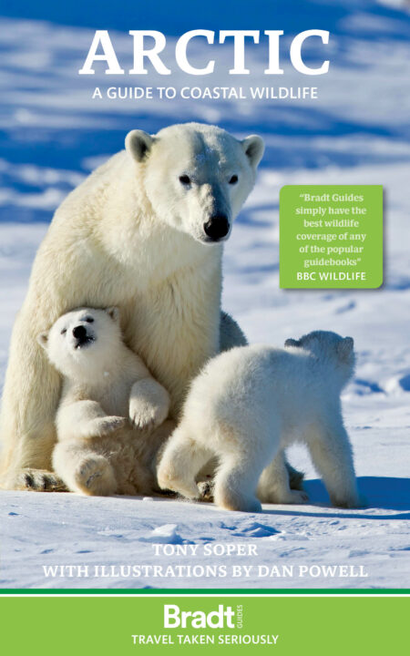 Bradt Arctic Wildlife guidebook