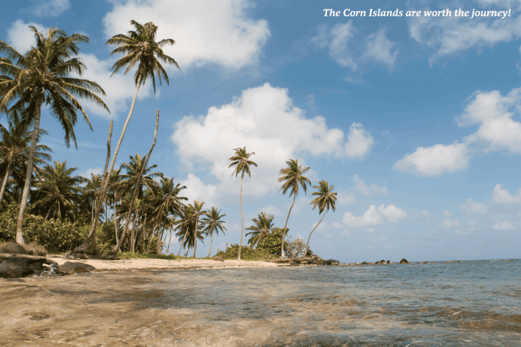 Palm trees on the shores of Little Corn Island, Nicaragua -  the best places to go in Latin America 