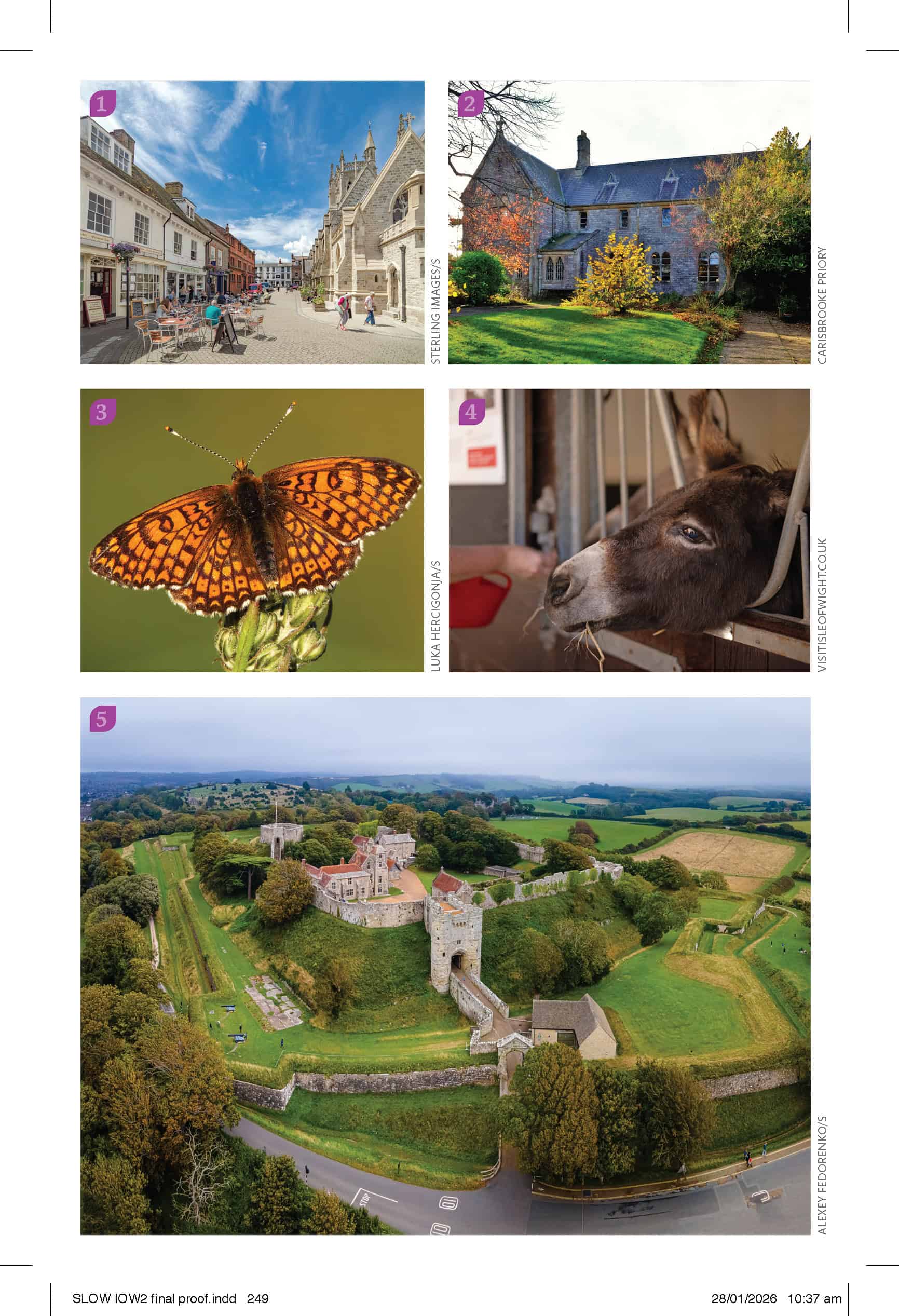 Bradt Isle of Wight Guidebook - Image 5