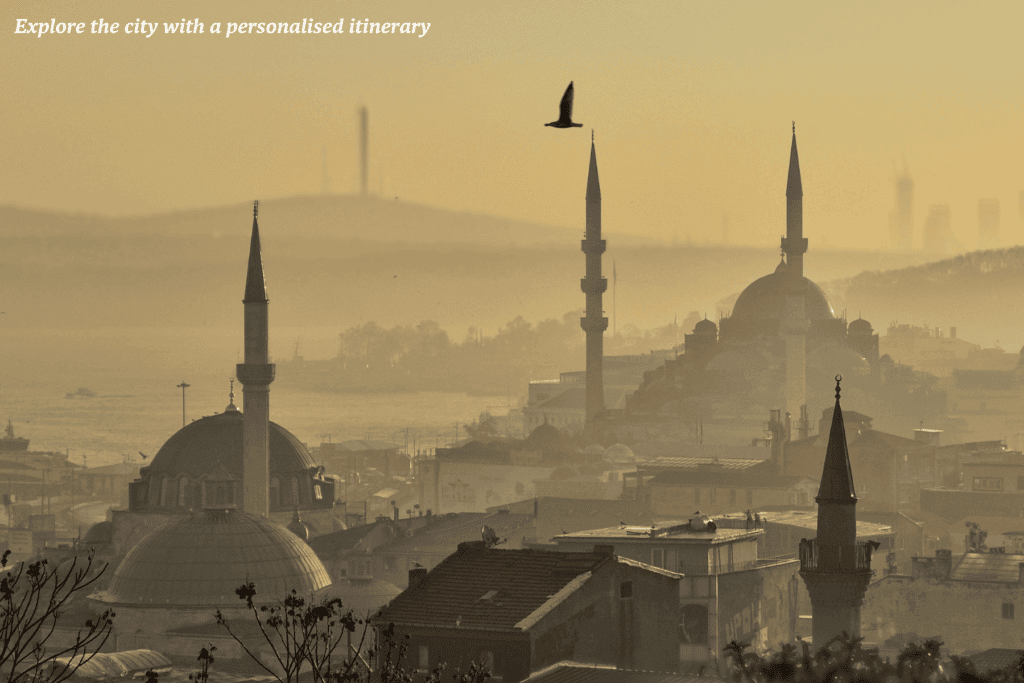 Birds flying over minarets at sunrise in Istanbul, Turkey