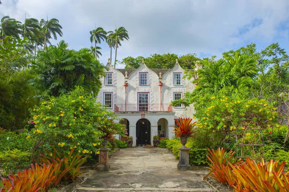 Lush greenery outside St Nicholas Abbey in Barbados
