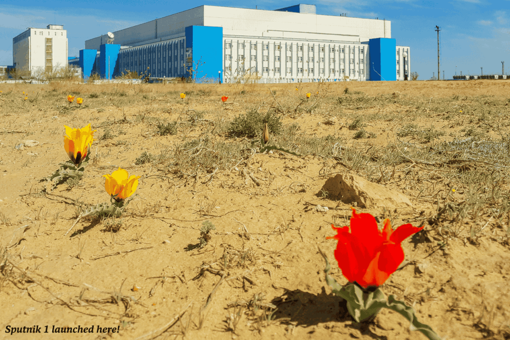 Tulips in bloom outside of the Baikonur Cosmodrome - facts about Kazakhstan