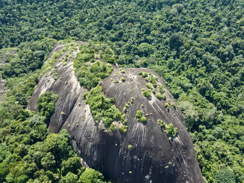 Mountain inside the Central Suriname Nature Reserve - is Suriname worth visiting?