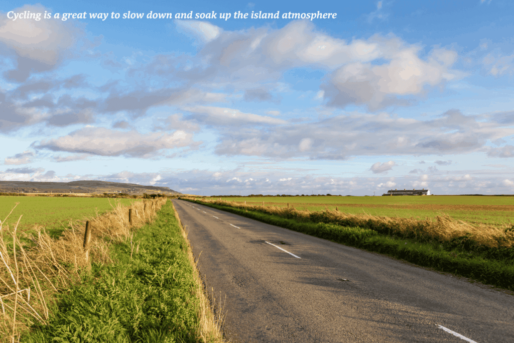 Country road on the Isle of Wight, England
